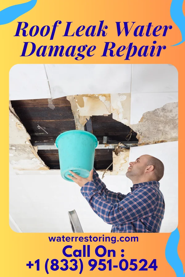 Roof Leak Water Damage Repair in Baker City, OR